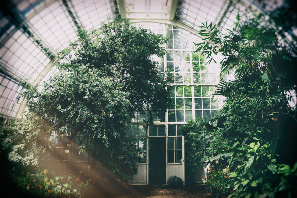 Lire la suite à propos de l’article Comment choisir sa serre de jardin ?