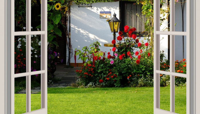 vue jardin