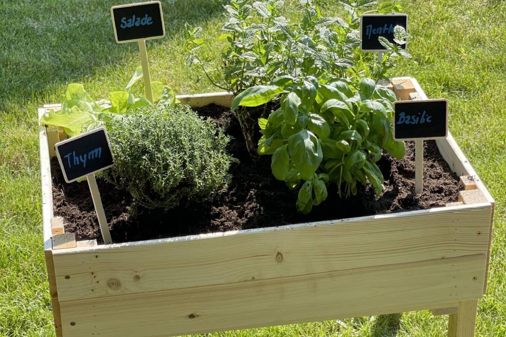 Lire la suite à propos de l’article Que planter dans un carré potager ?