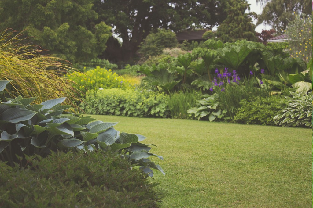 Lire la suite à propos de l’article Comment chasser les taupes de son jardin ?